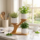 Bamboo Shelf with 3 Mini Succulent Pots – Desk & Home Decor