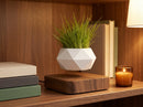 Levitating Plant Pot – Magnetic Floating Planter for Desk Decor